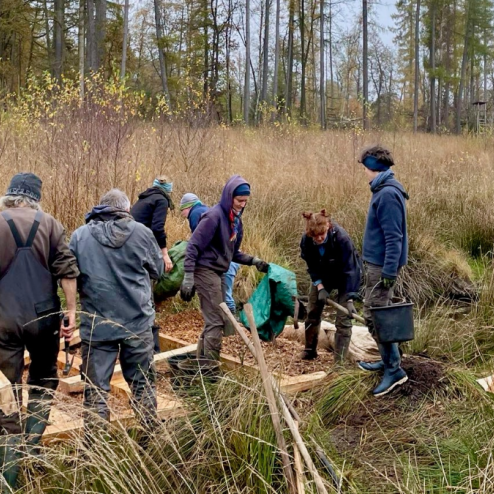 Freiwillige beim Grabenverbauungen im Reinhardswald