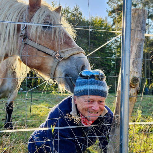 Pferd lässt Freiwilligen nicht einen Zaun abbauen