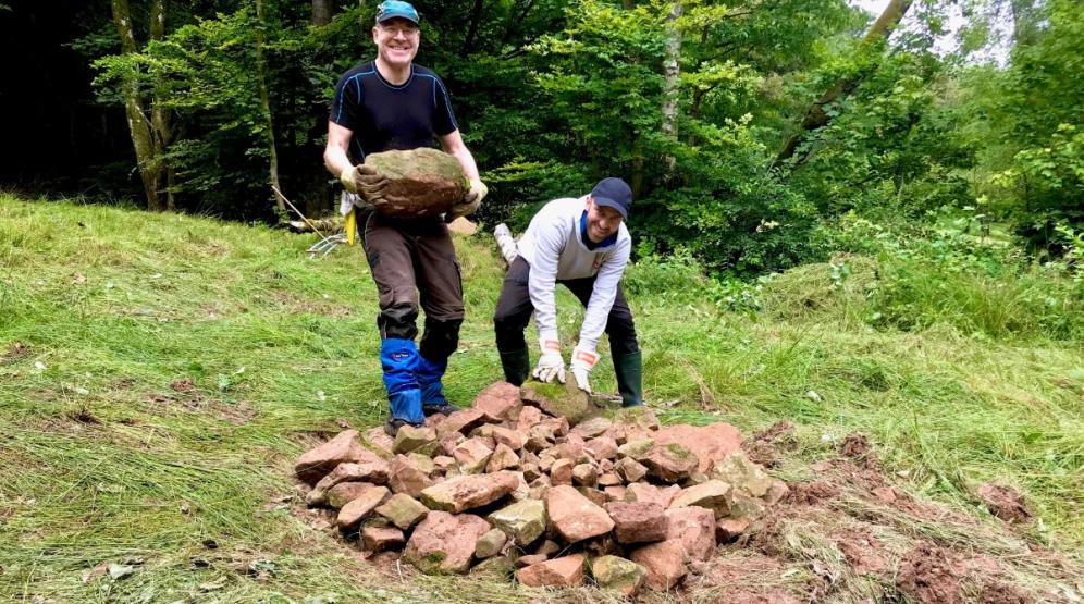 Viele Steine werden für Reptilien aufgeschichtet