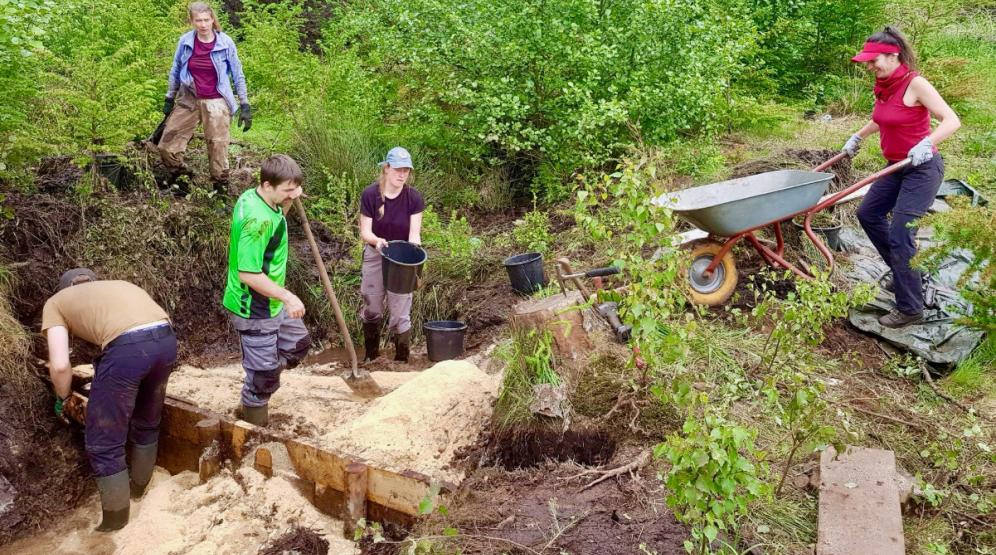 Grabenverbauung im Waldmoor bei Lichtenau