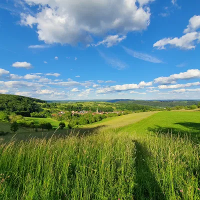 Weiter Blick über die grüne Landschaft in Alzenau