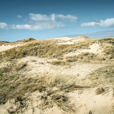 Dünenlandschaft