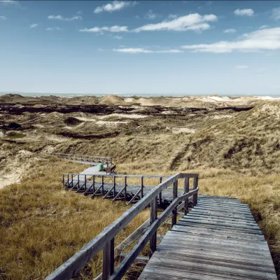 Dünenlandschaft mit Holzwegen