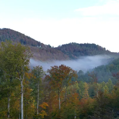 Stimmungsvoller Blick auf eine bergige, bewaldete Landschaft.