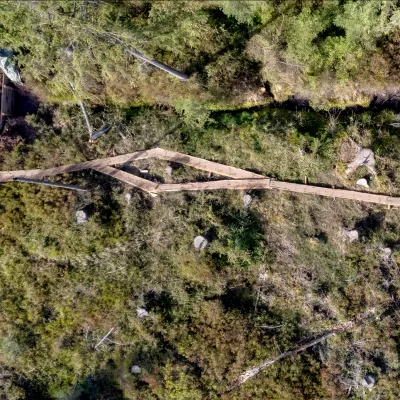 Luftaufnahme eines Bohlenwegs im Moor