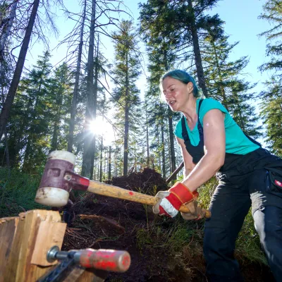 Frau mit Hammer beim anbringen der Spundwand