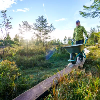 Mann mit Schubkarre auf einem Bohlenweg im Moor