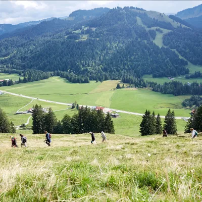 Weiter Blick auf Wiesen uns Berge im Allgäu