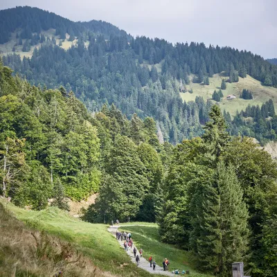 Weiter Blick auf Wälder und Berge im Allgäu