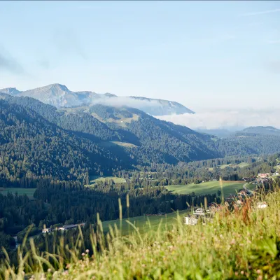 Weiter Blick von einer Wiese auf die Berge