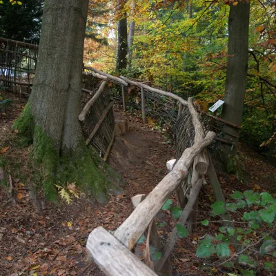 Besucherführung im Wald