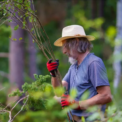 Mann mit Ästen in der Hand