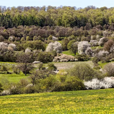 Blick auf eine Landschaft in Meiningen