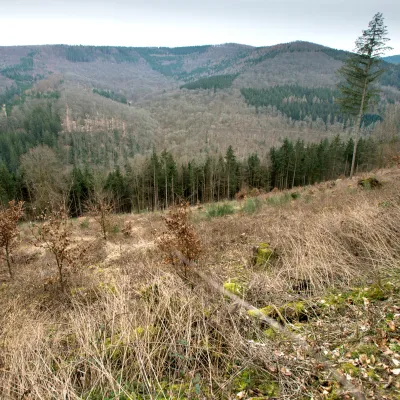 Blick auf die Landschaft im Odenwald