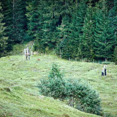 Wiesenlandschaft