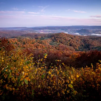 Blick über eine weite, herbstliche Waldlandschaft