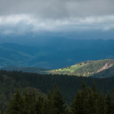 feldberg_15.jpg