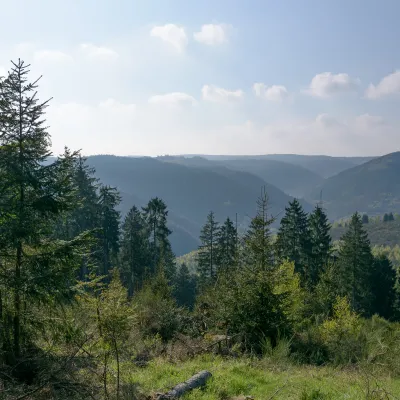 Weiter Blick über eine Waldlandschaft in Werdohl