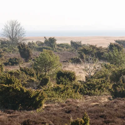 Landschaft auf Hiddensee