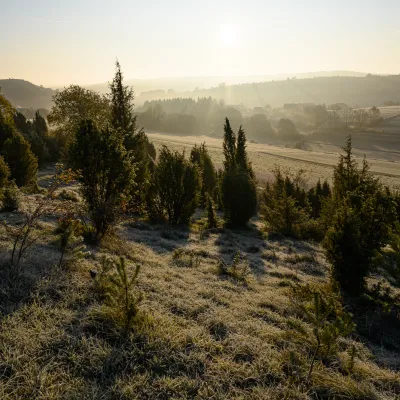 BWP_Euskirchen_Landschaft.jpg