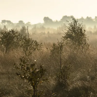 Stimmungsvolle Landschaft in Diepholz