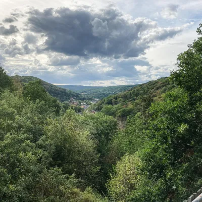 Weiter Blick auf die Waldlandschaft im Nationalpark Eifel