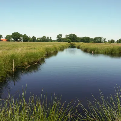 Blick auf eine Landschaft mit See im NP Hümmling