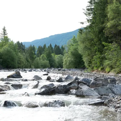 Blick auf den Fluss und Wald