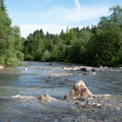 Blick auf den Fluss und Wald