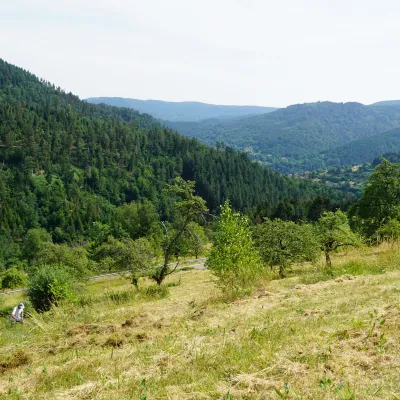 Blick auf die Landschaft in Bermersbach