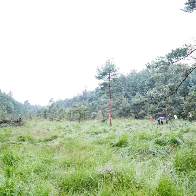 Weiter Blick auf eine offene Landschaftund Wald in Neuenburg