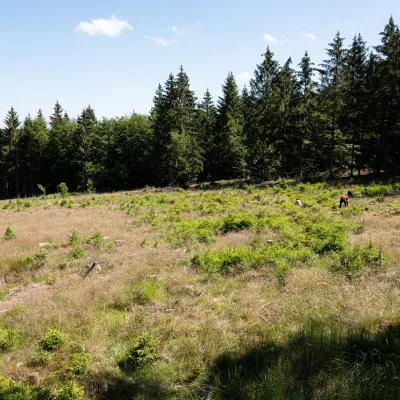 Blick auf die Landschaft im Soonwald