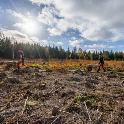 Zwei Teilnehmende mit Schubkarren in der weiten Moorlandschaft