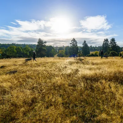 BWP_NPKellerwald_Landschaft.jpg