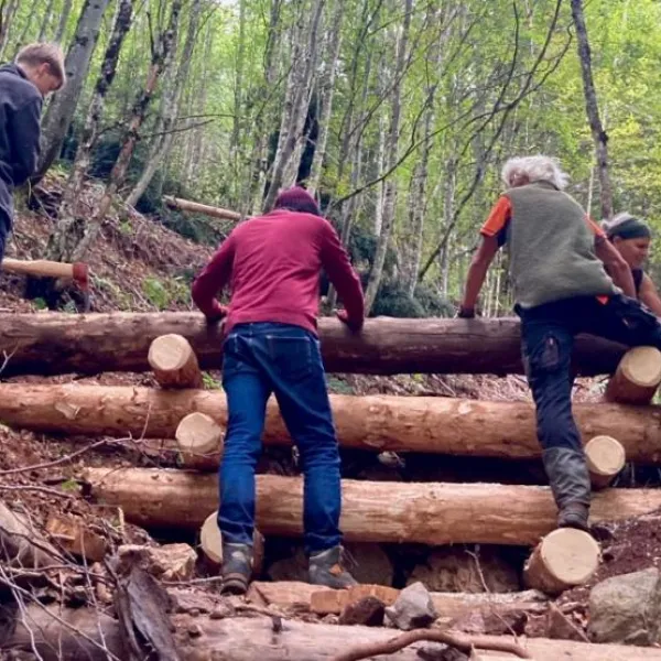 Eine Gruppe Freiwilliger baut einen Holzkasten am Hang, um Erosion entgegenzuwirken