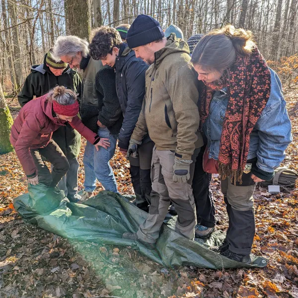 Menschen stehen auf einer Plane im Wald