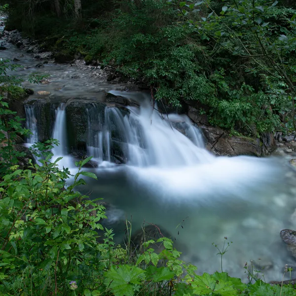 Wasserfall im Wald