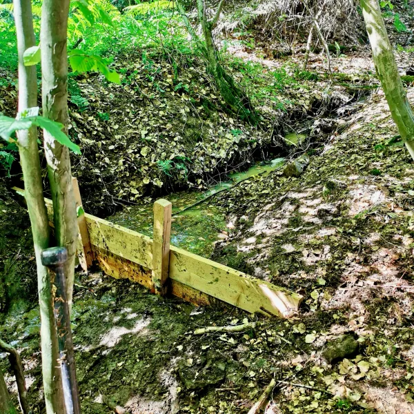 Fertiggestellte Sohlschwelle im Westerwald