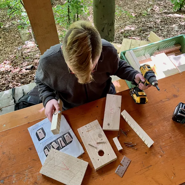 Die Anleitung zum Bilchkasten bauen lesend