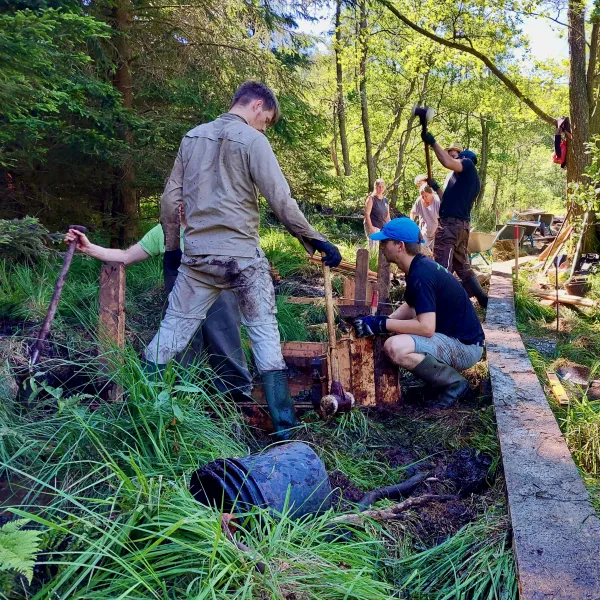 Sperrenbau im Hangmoor Krempertsbruch