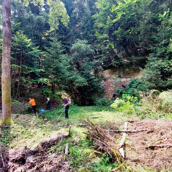 Sandmauer freistellen in Fichtelberg