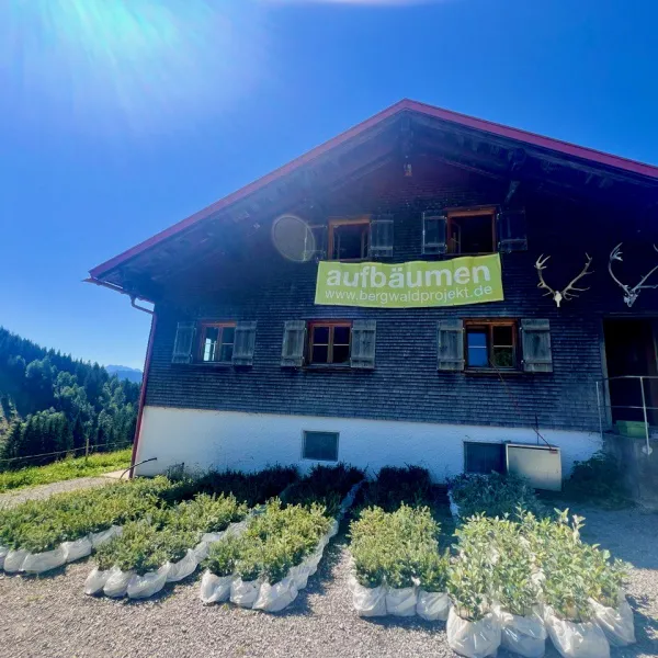 3000 Eiben vor der Unterkunft in Balderschwang