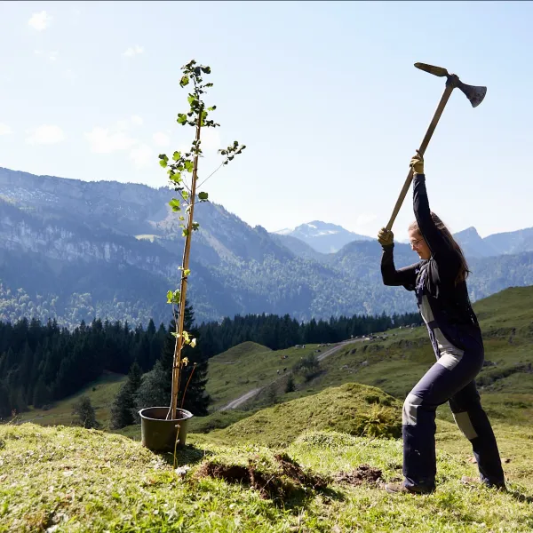 Frau schwingt Pflanzhacke vor Allgäuer Bergpanorama