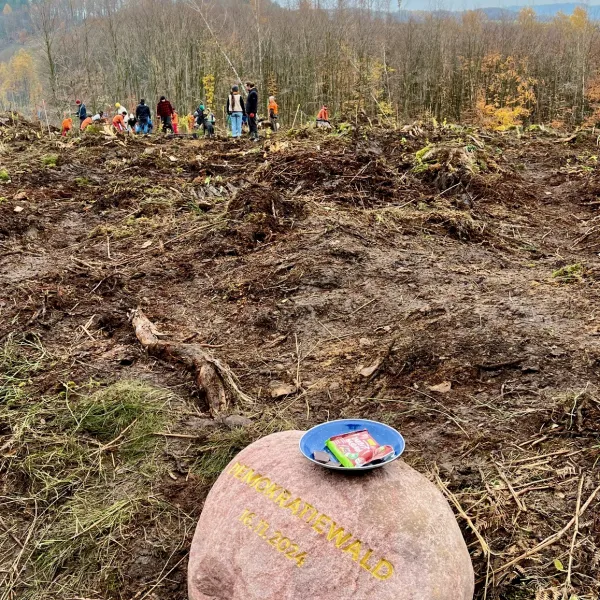 Der Denkmalstein des Demokratiewaldes Breckerfeld