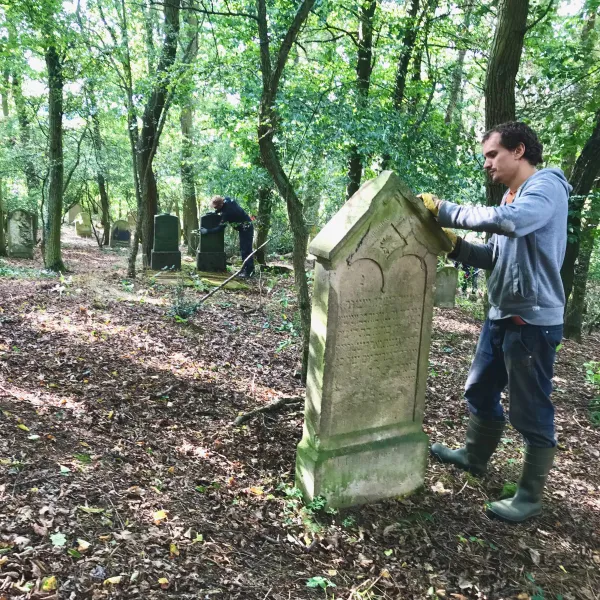 Mensch entmoost einen jüdischen Grabstein im Wald