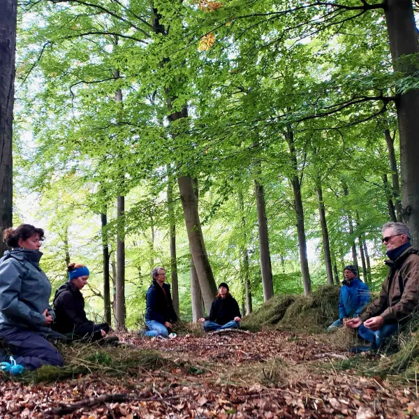 Sitzende Menschen meditieren im Buchenwald