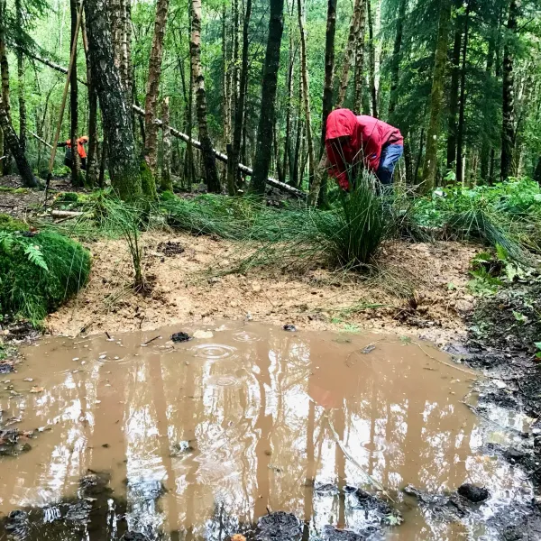 Regenwasser staut sich in verschlossenem Entwässerungsgraben