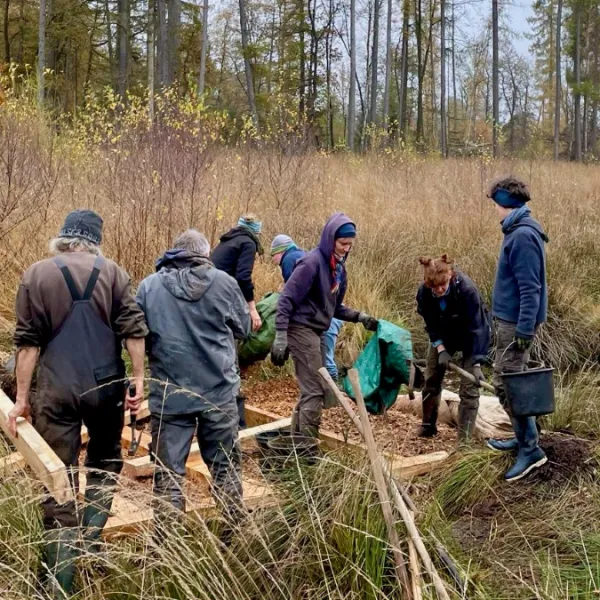 Freiwillige stehen um ein Stauwerk im Reinhardswald herum