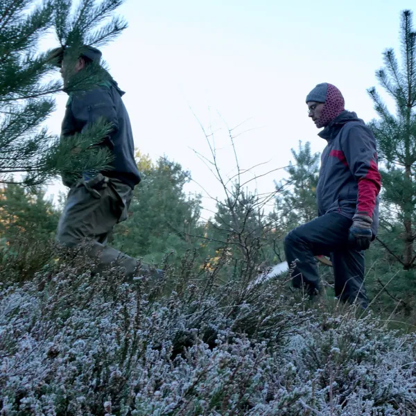 Die mit Raureif bedeckte Heide wird von Freiwilligen durchstreift