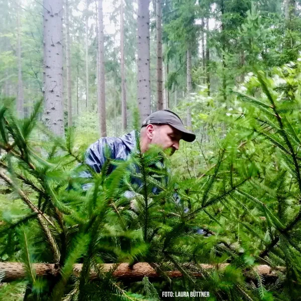 Beim Bachlauf entfichten wird's unübersichtlich